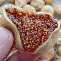 Kuru İncir - Orta Boy