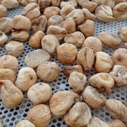 Kuru İncir - Orta Boy