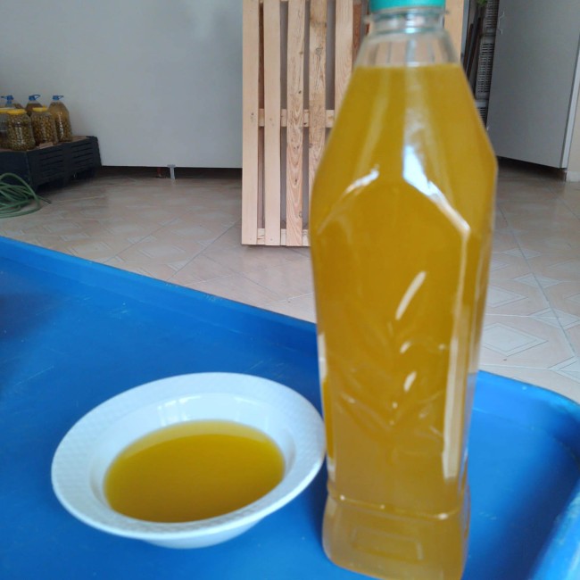 Soğuk Sıkım Naturel Sızma Zeytinyağı 0.5 Dizem